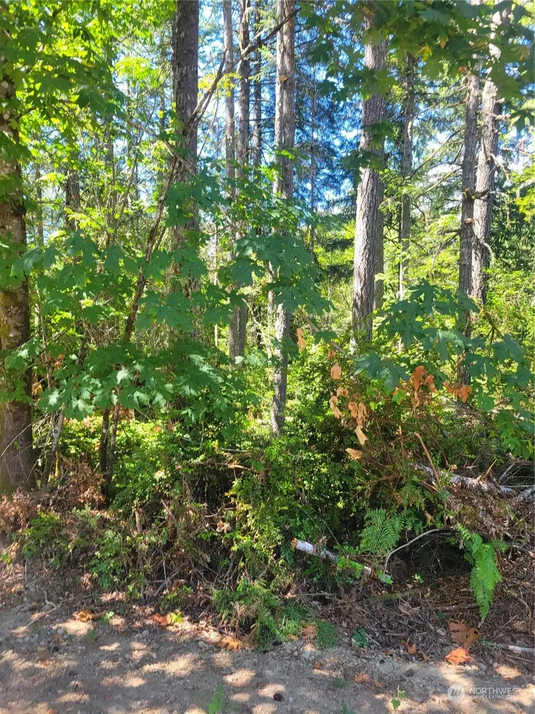 900 E Wilson Way Grapeview WA 98546