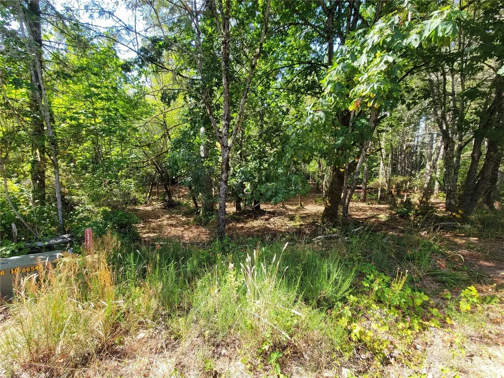 900 E Wilson Way Grapeview WA 98546