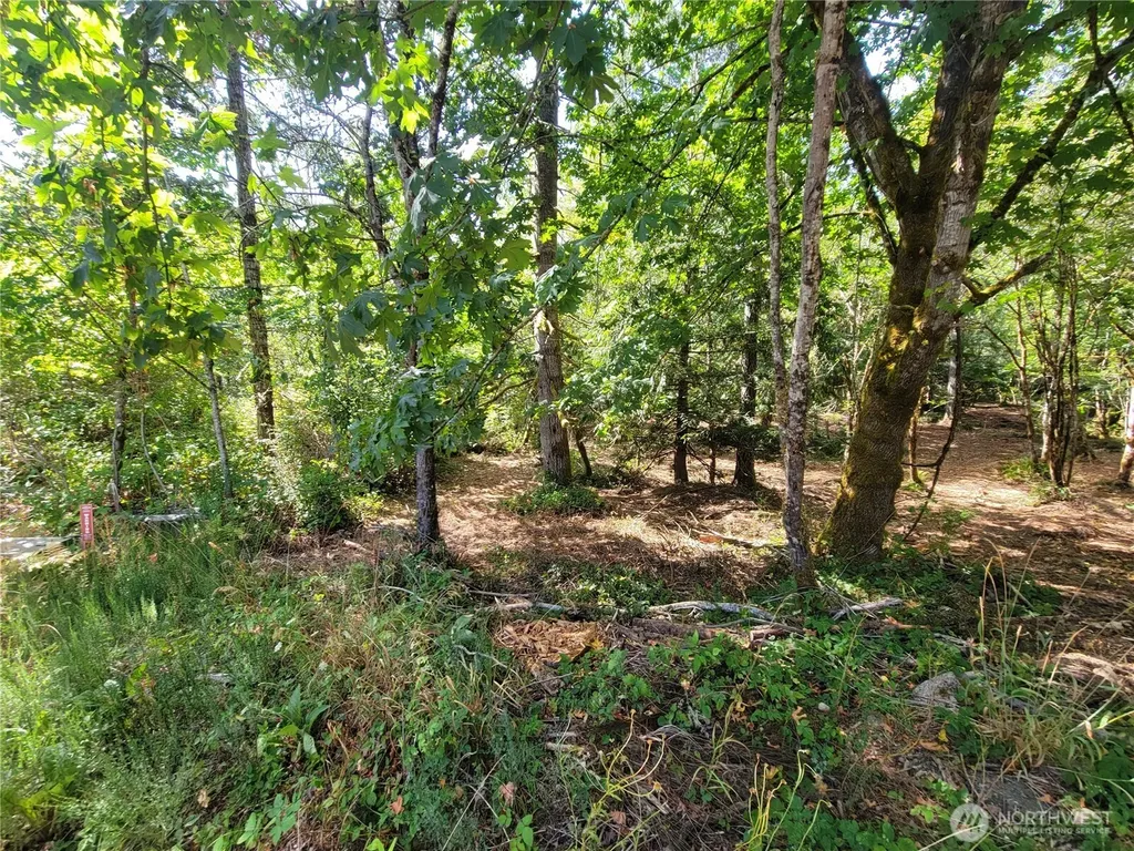 900 E Wilson Way Grapeview WA 98546