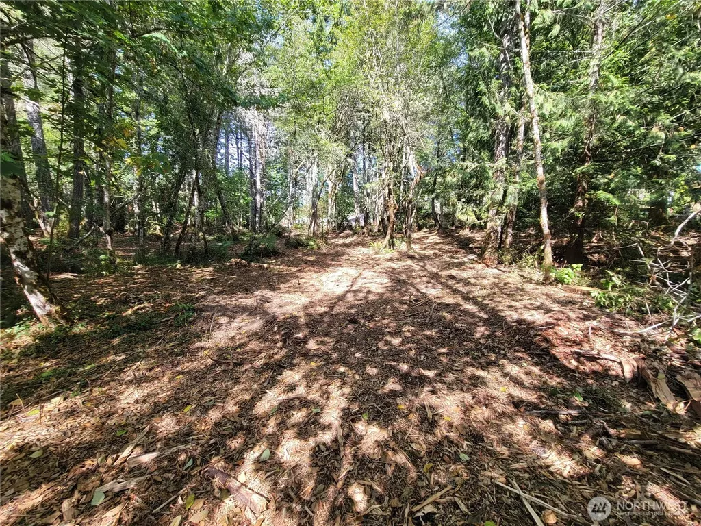 900 E Wilson Way Grapeview WA 98546