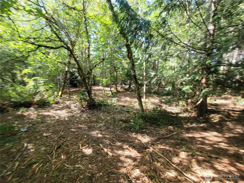 900 E Wilson Way Grapeview WA 98546