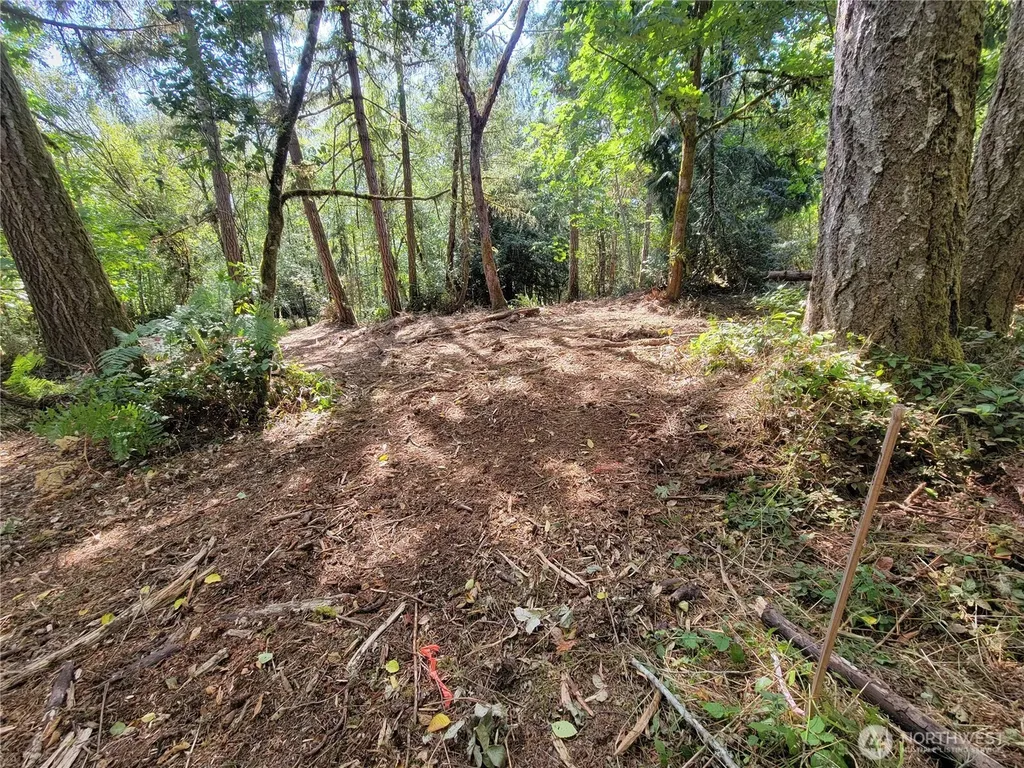 900 E Wilson Way Grapeview WA 98546