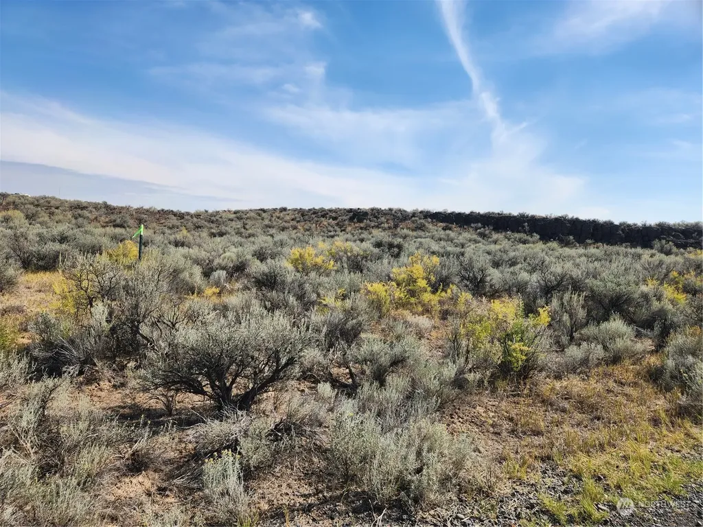 0 Lot 21 Settler Lane Ephrata WA 98852