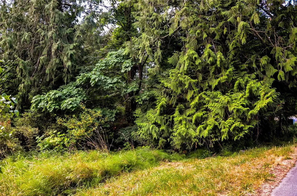 486 Wanapum Drive La Conner WA 98257