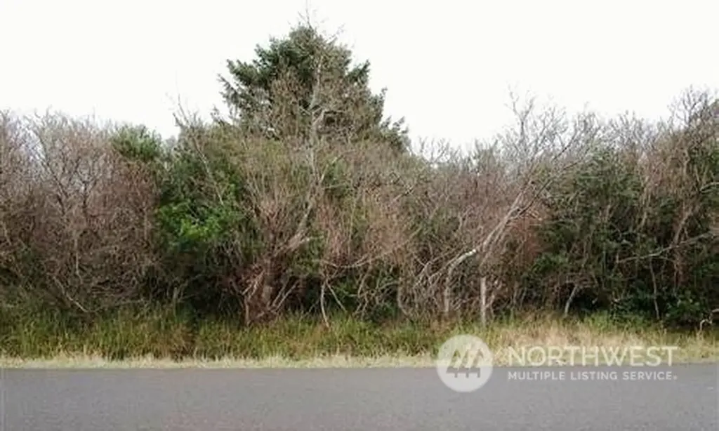 1060 Fairwood Drive SW Ocean Shores WA 98569