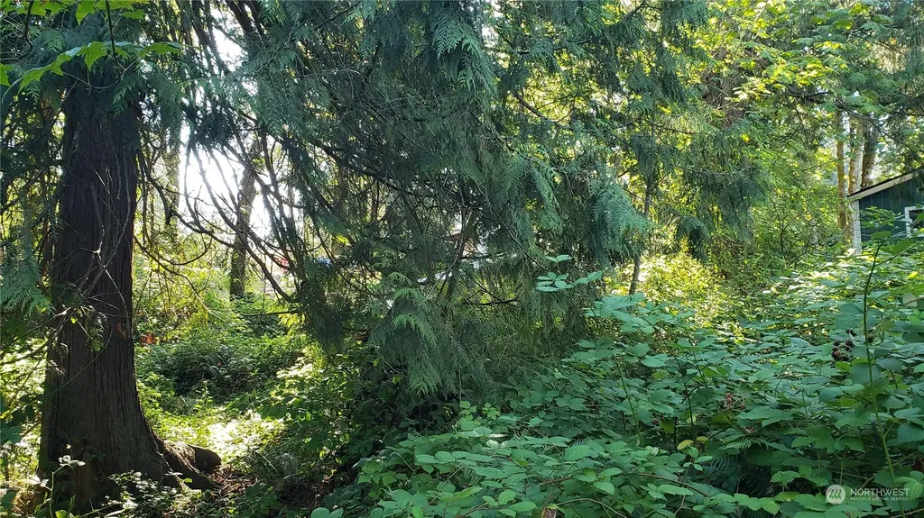 15800 62nd Avenue NW Gig Harbor WA 98332
