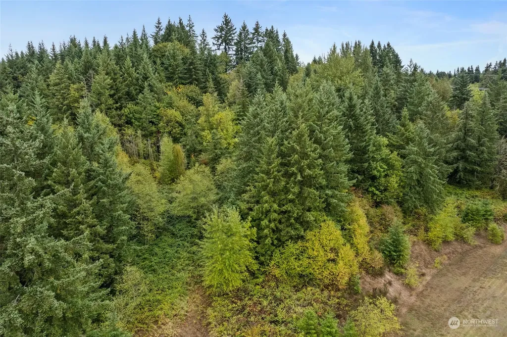 2585 Jackson Highway Chehalis WA 98532