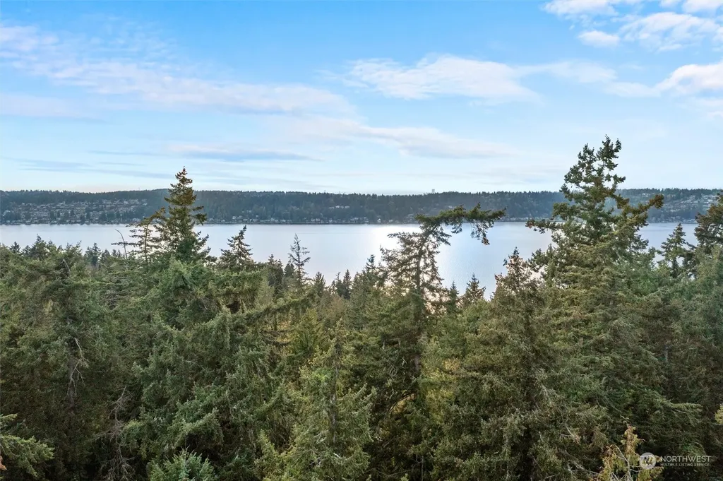 19700 SE 17th Street Sammamish WA 98075