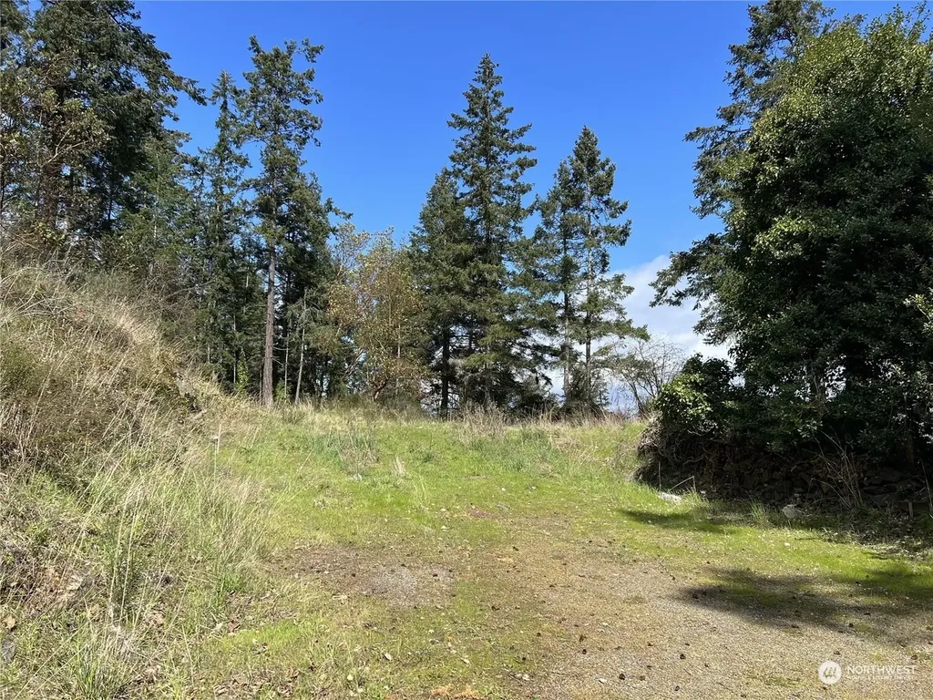 385 Marguerite Place Friday Harbor WA 98250