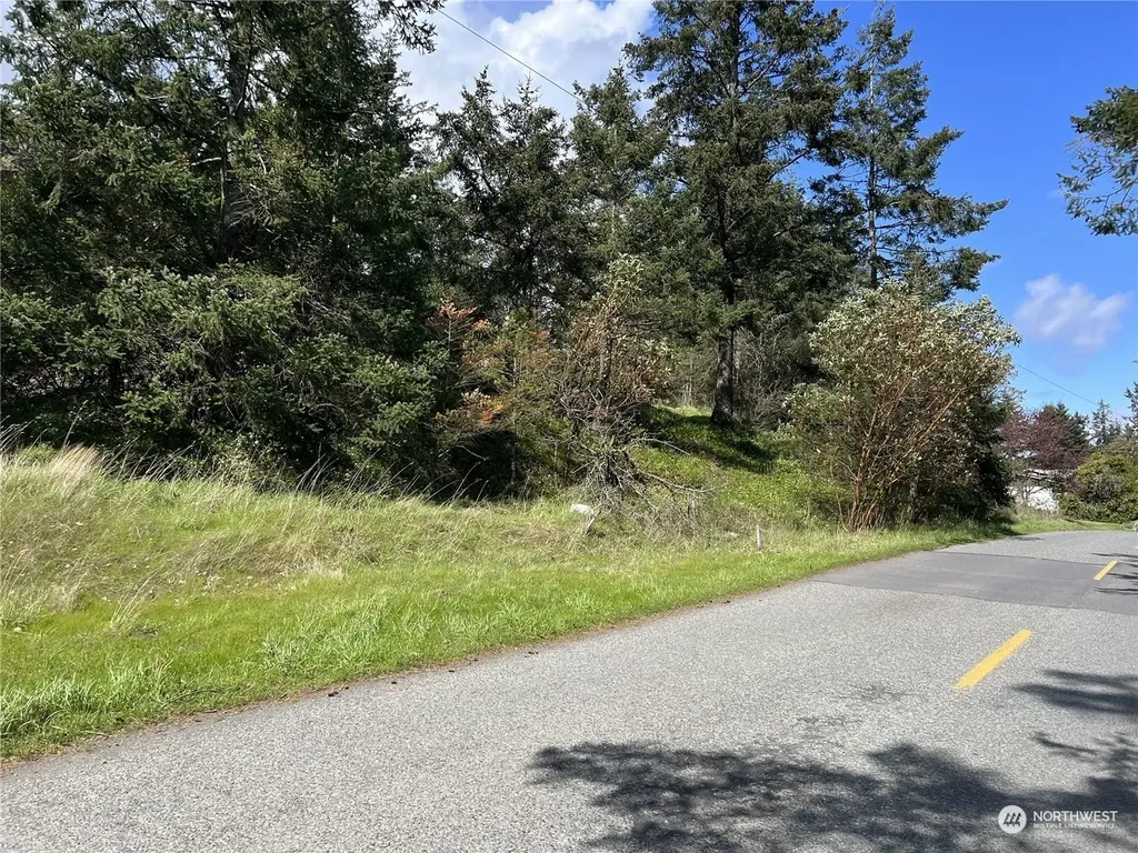 385 Marguerite Place Friday Harbor WA 98250