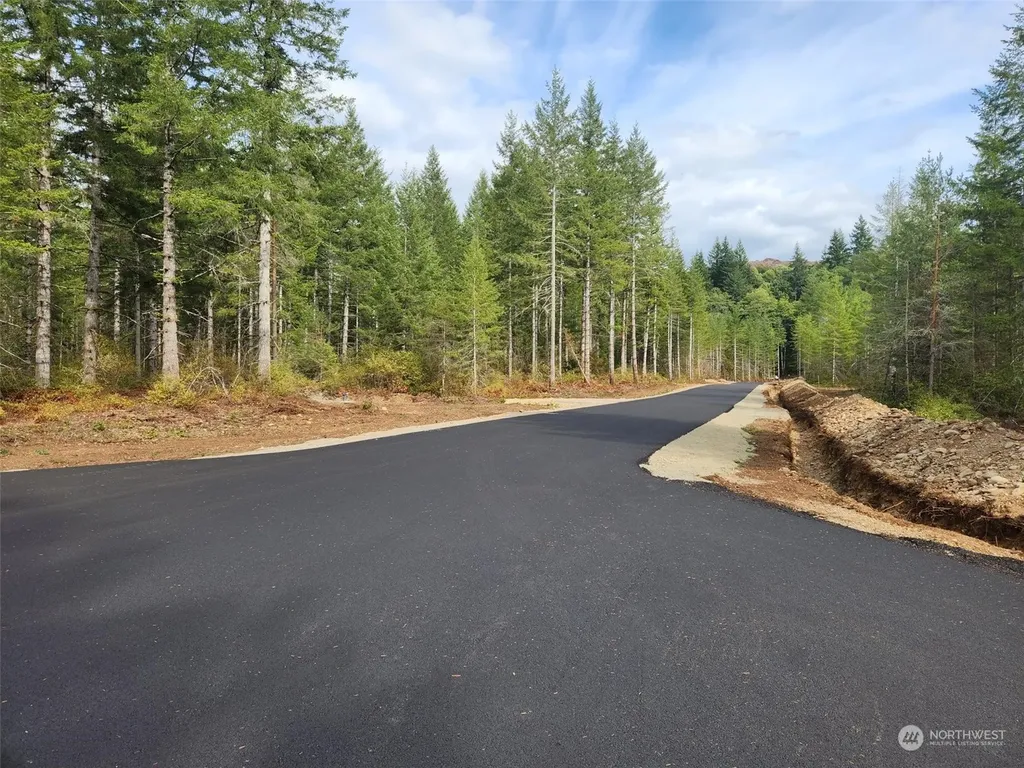 0 Lot 5 Div 1 Raven Lane Elma WA 98541