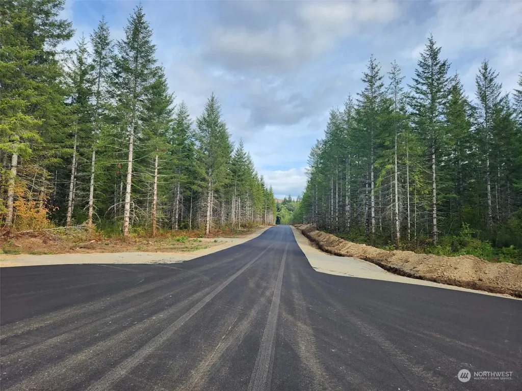 0 Lot 5 Div 1 Raven Lane Elma WA 98541