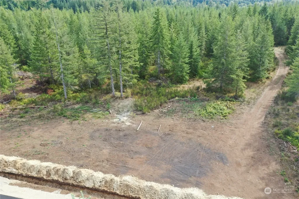 0 Lot 6 Div 1 Raven Lane Elma WA 98541