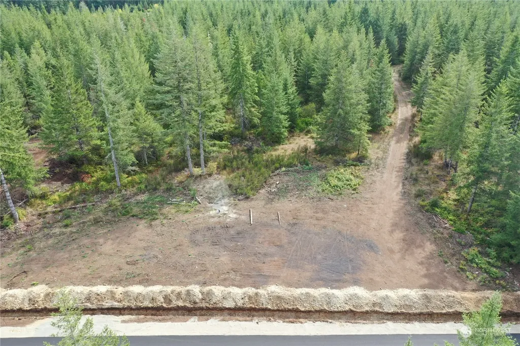 0 Lot 6 Div 1 Raven Lane Elma WA 98541