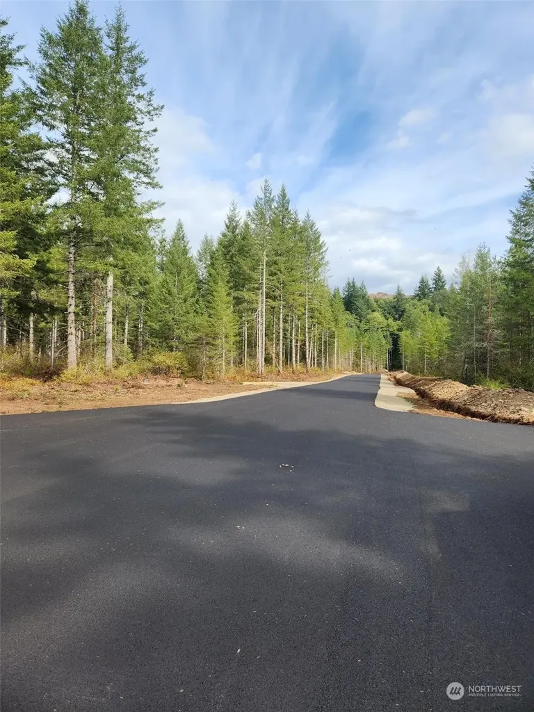 0 Lot 6 Div 1 Raven Lane Elma WA 98541