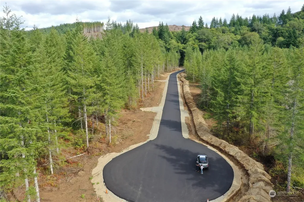 0 Lot 6 Div 1 Raven Lane Elma WA 98541