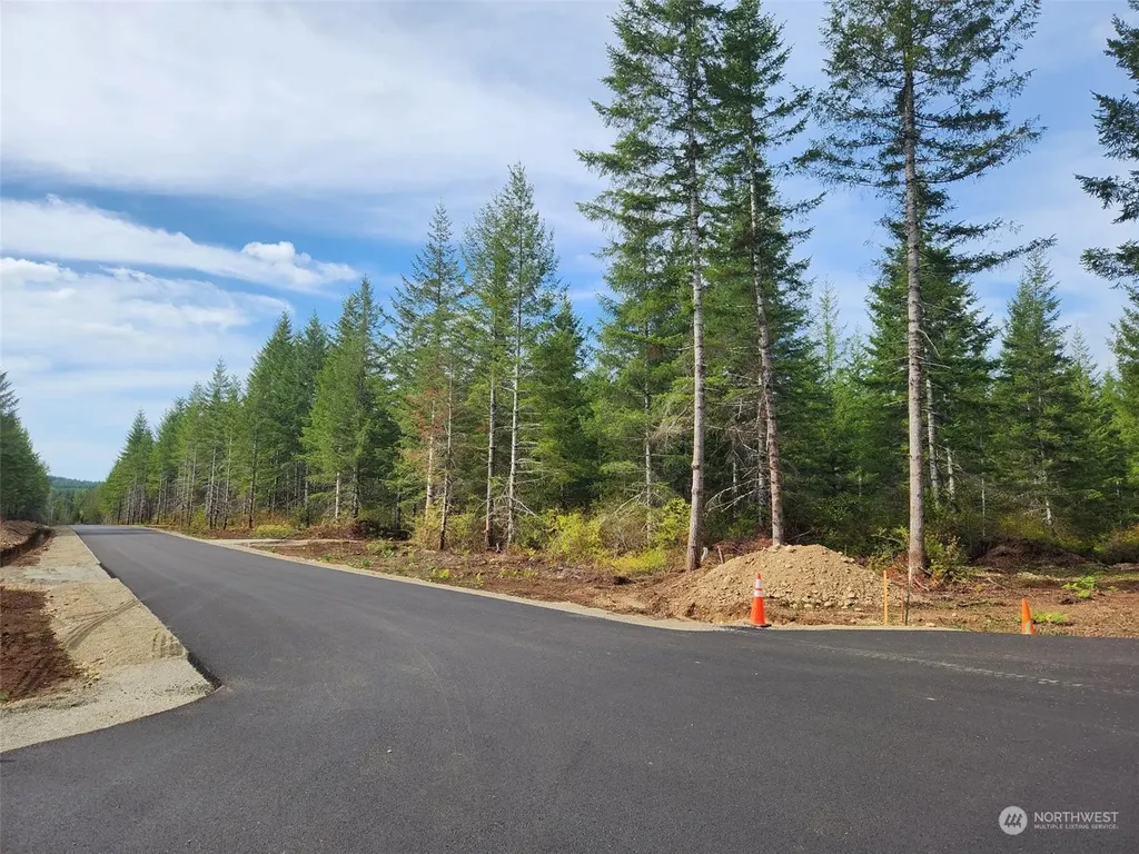 0 Lot 1 Div 1 Raven Lane Elma WA 98541