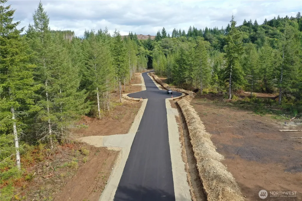0 Lot 1 Div 1 Raven Lane Elma WA 98541