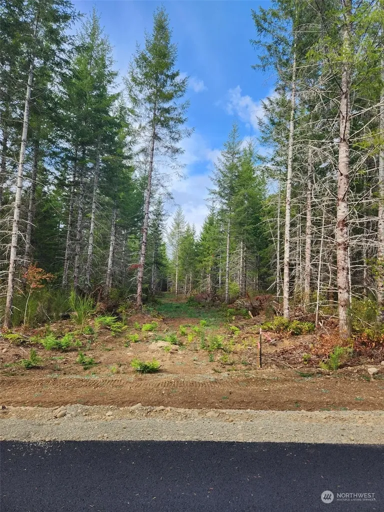 0 Lot 1 Div 1 Raven Lane Elma WA 98541