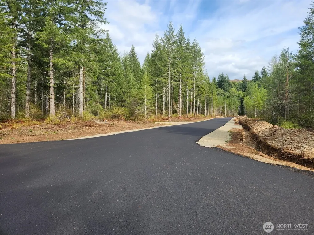 0 Lot 1 Div 1 Raven Lane Elma WA 98541