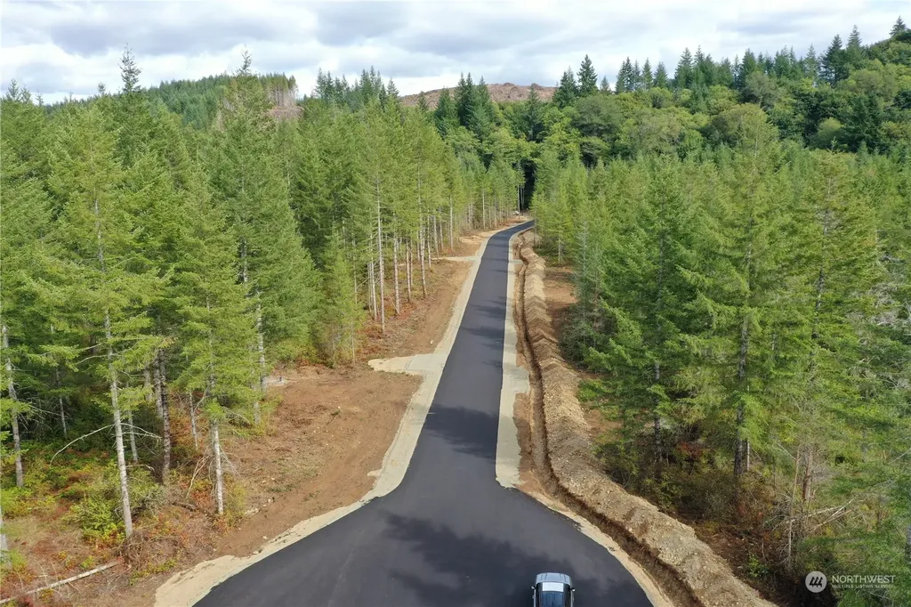 0 Lot 1 Div 2 Raven Lane Elma WA 98541
