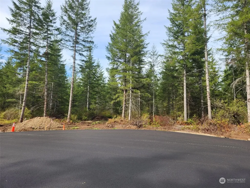 0 Lot 1 Div 2 Raven Lane Elma WA 98541