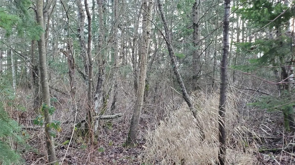 4492 Sweet Road Blaine WA 98230