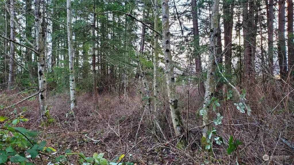 4492 Sweet Road Blaine WA 98230