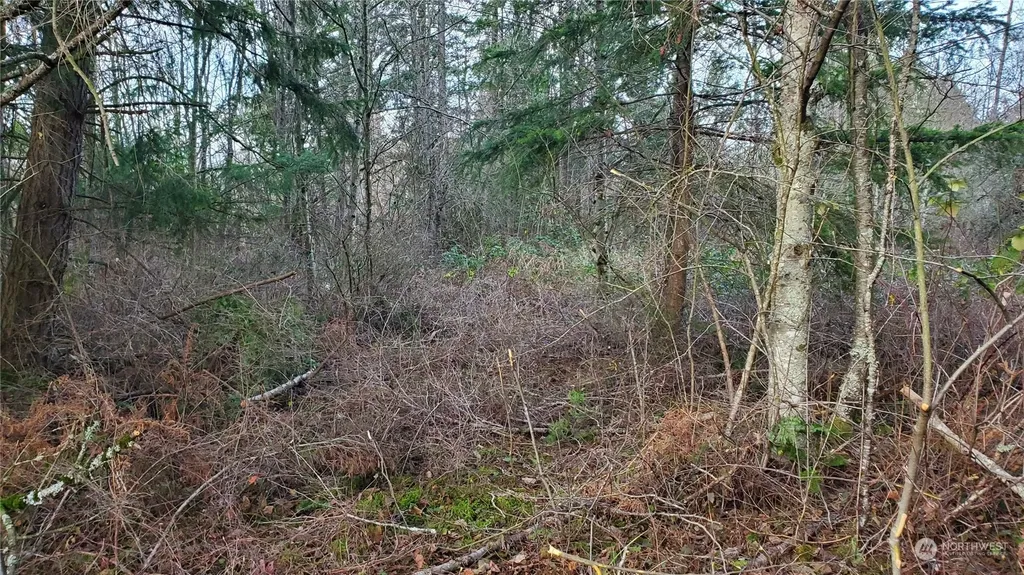4492 Sweet Road Blaine WA 98230
