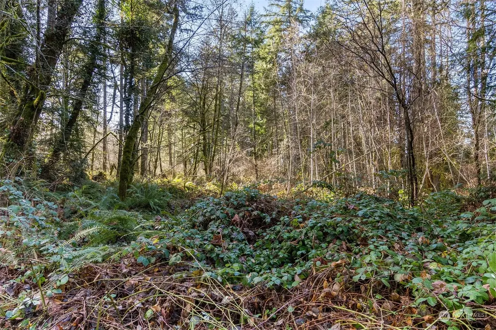 8031 Kerbaugh Road NE Olympia WA 98516