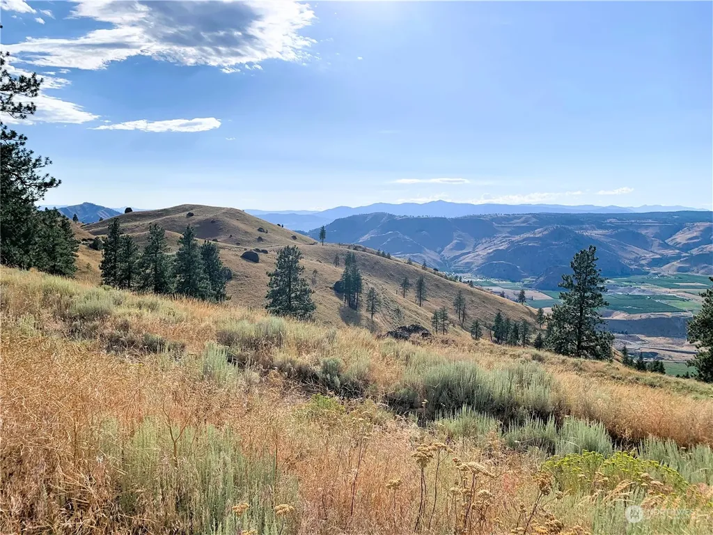 100 Pine Bluffs Lane Waterville WA 98858