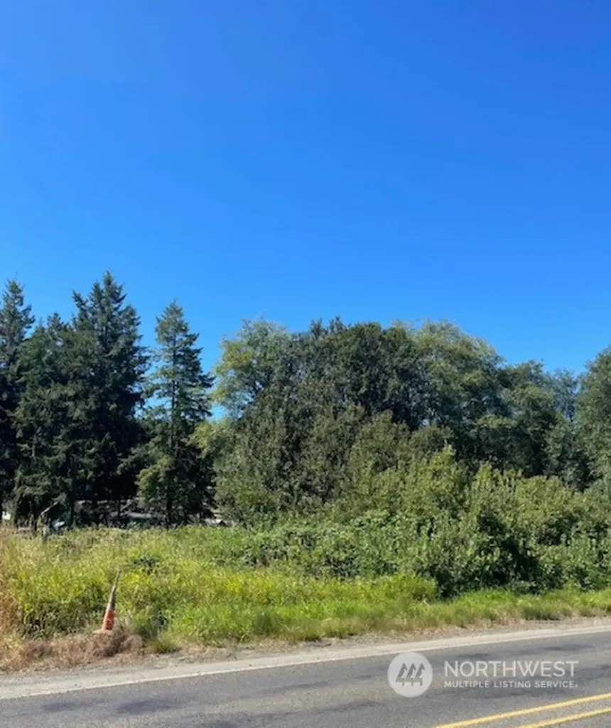 0 Henkle (Hwy 6) Street Raymond WA 98577