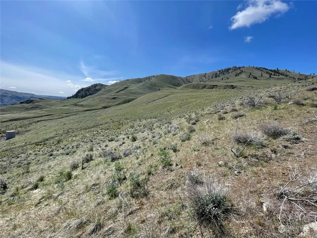 0 E Iowa Street Chelan WA 98816