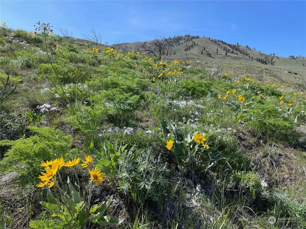 0 E Iowa Street Chelan WA 98816
