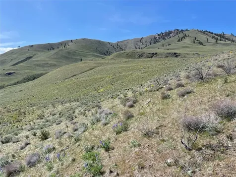 0 E Iowa Street Chelan WA 98816