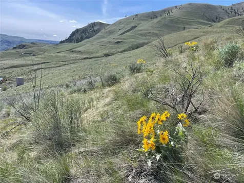 0 E Iowa Street Chelan WA 98816