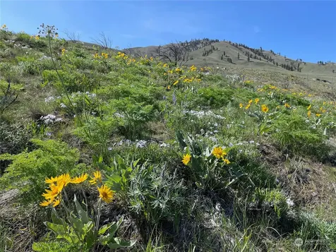 0 E Iowa Street Chelan WA 98816