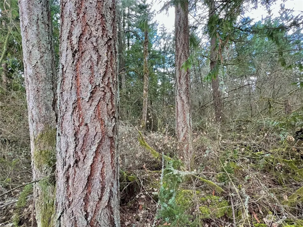 12631 200th Street E Graham WA 98338
