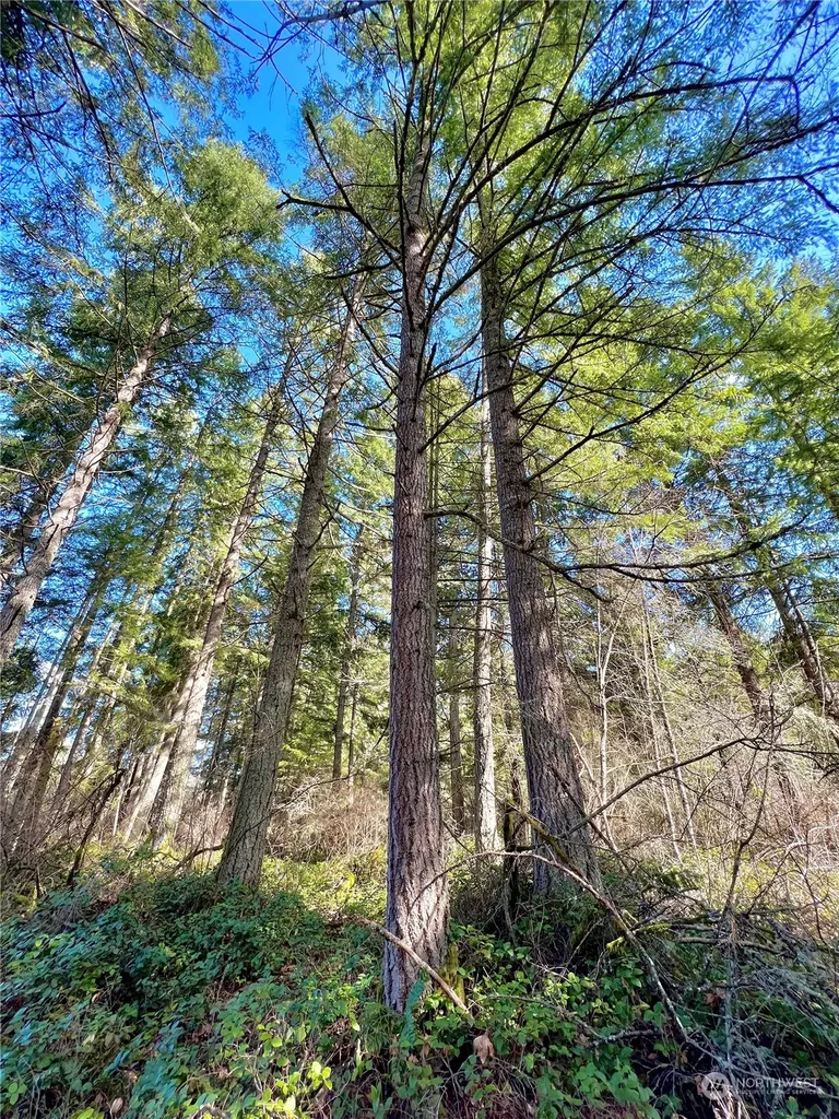 12631 200th Street E Graham WA 98338