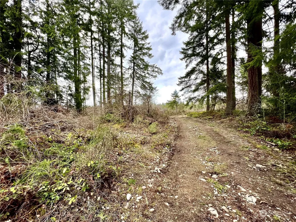 12631 200th Street E Graham WA 98338