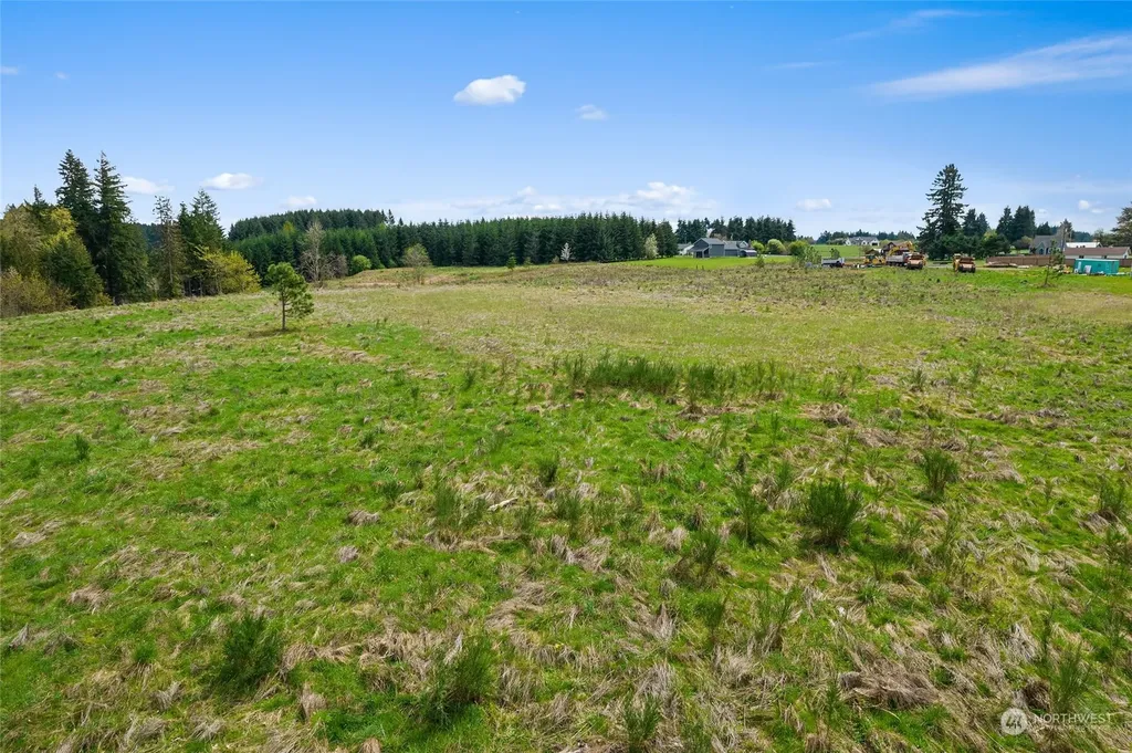0 Cemetery Road Winlock WA 98596