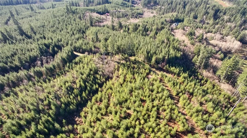 3 NE Jones Creek Road Camas WA 98601