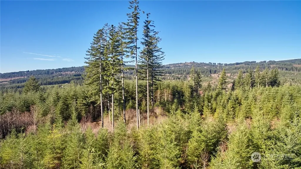 3 NE Jones Creek Road Camas WA 98601