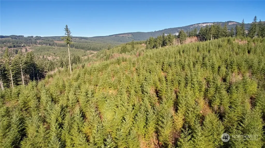 3 NE Jones Creek Road Camas WA 98601