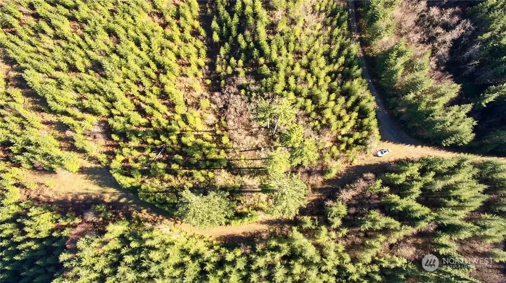 3 NE Jones Creek Road Camas WA 98601