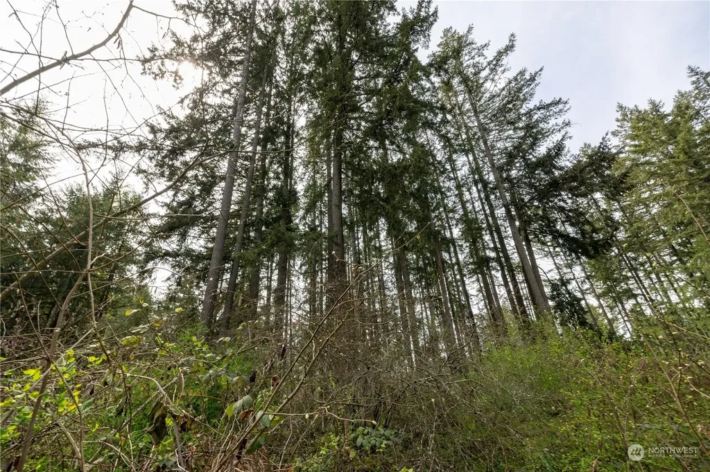 0 95th Avenue Ct E Graham WA 98338