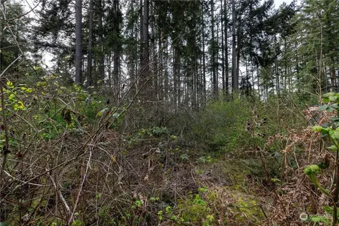 0 95th Avenue Ct E Graham WA 98338