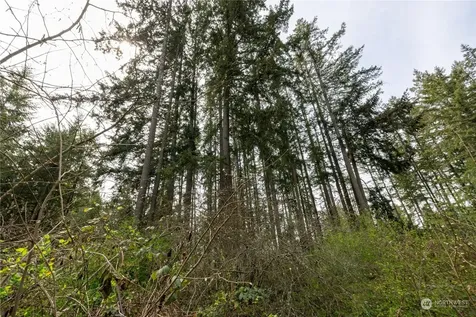 0 95th Avenue Ct E Graham WA 98338