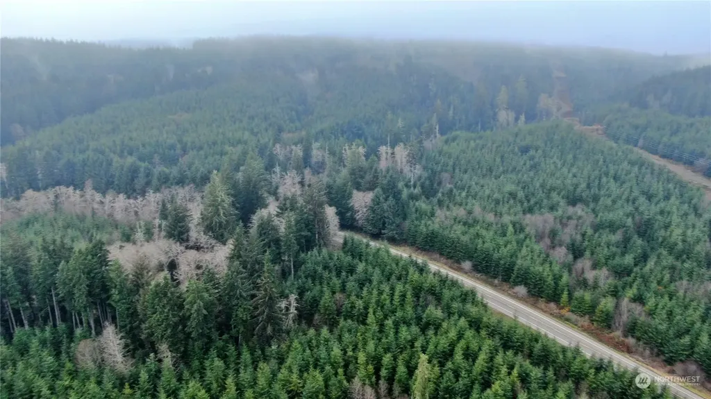 0 State Route 107 Cosmopolis WA 98537