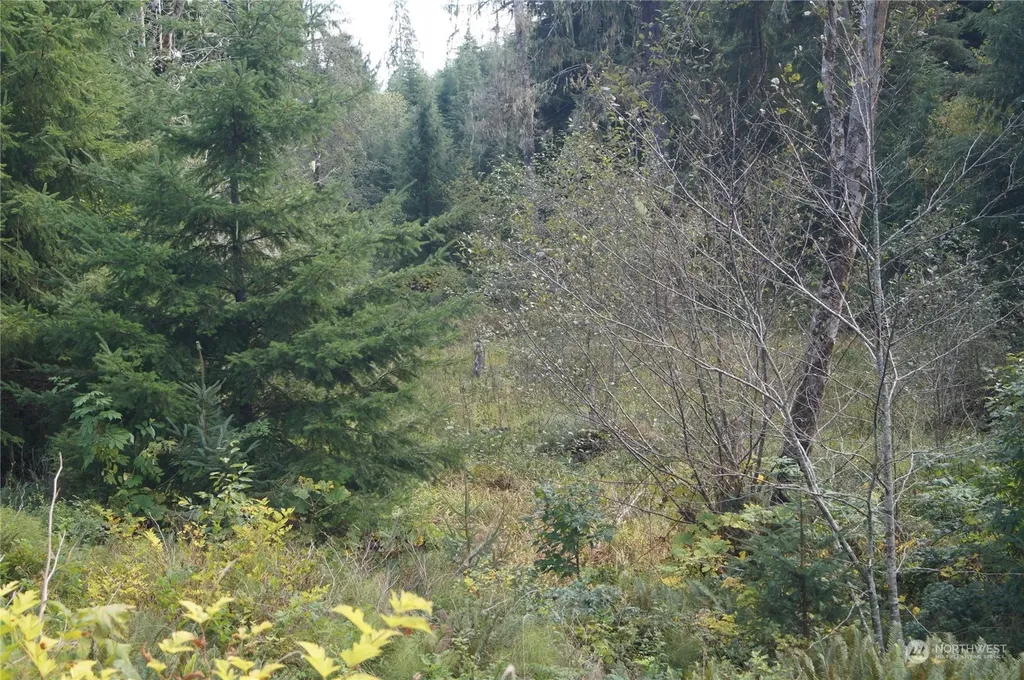 0 State Route 107 Cosmopolis WA 98537